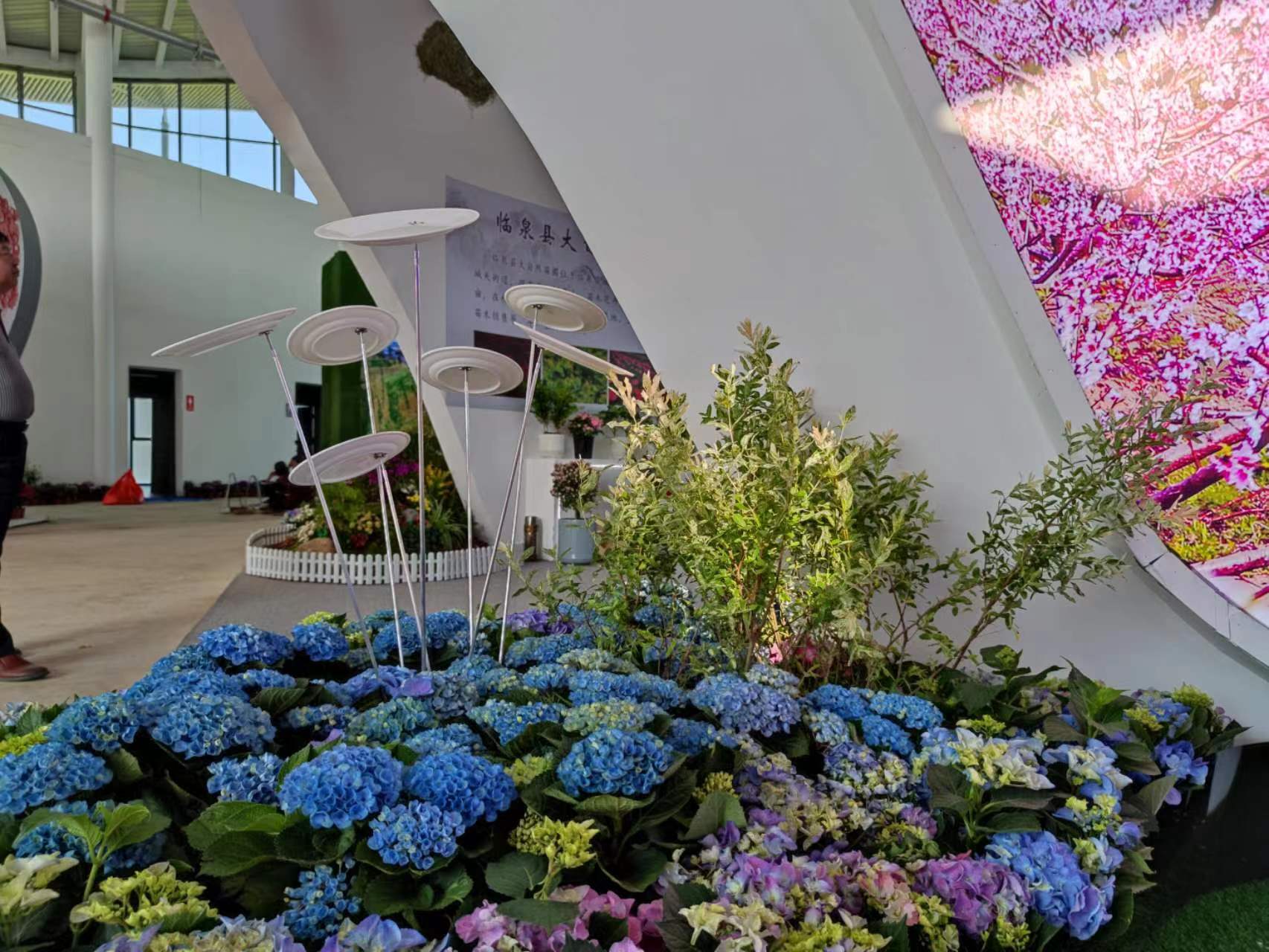 3c6063486dba8db53a741688b323652.jpg 3c6063486dba8db53a741688b323652.jpg