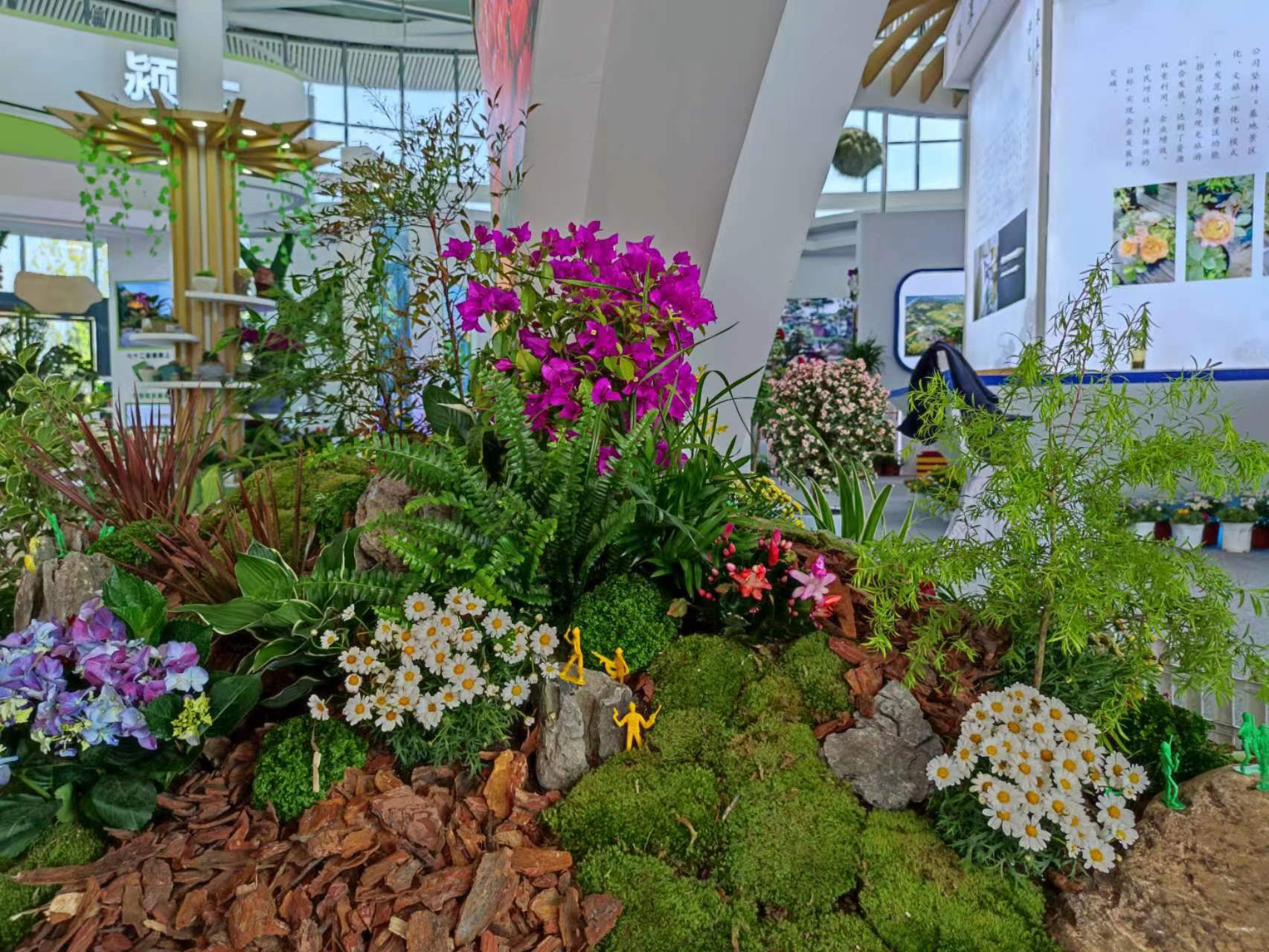 75697eded290cca40e33b07870304c7.jpg 75697eded290cca40e33b07870304c7.jpg