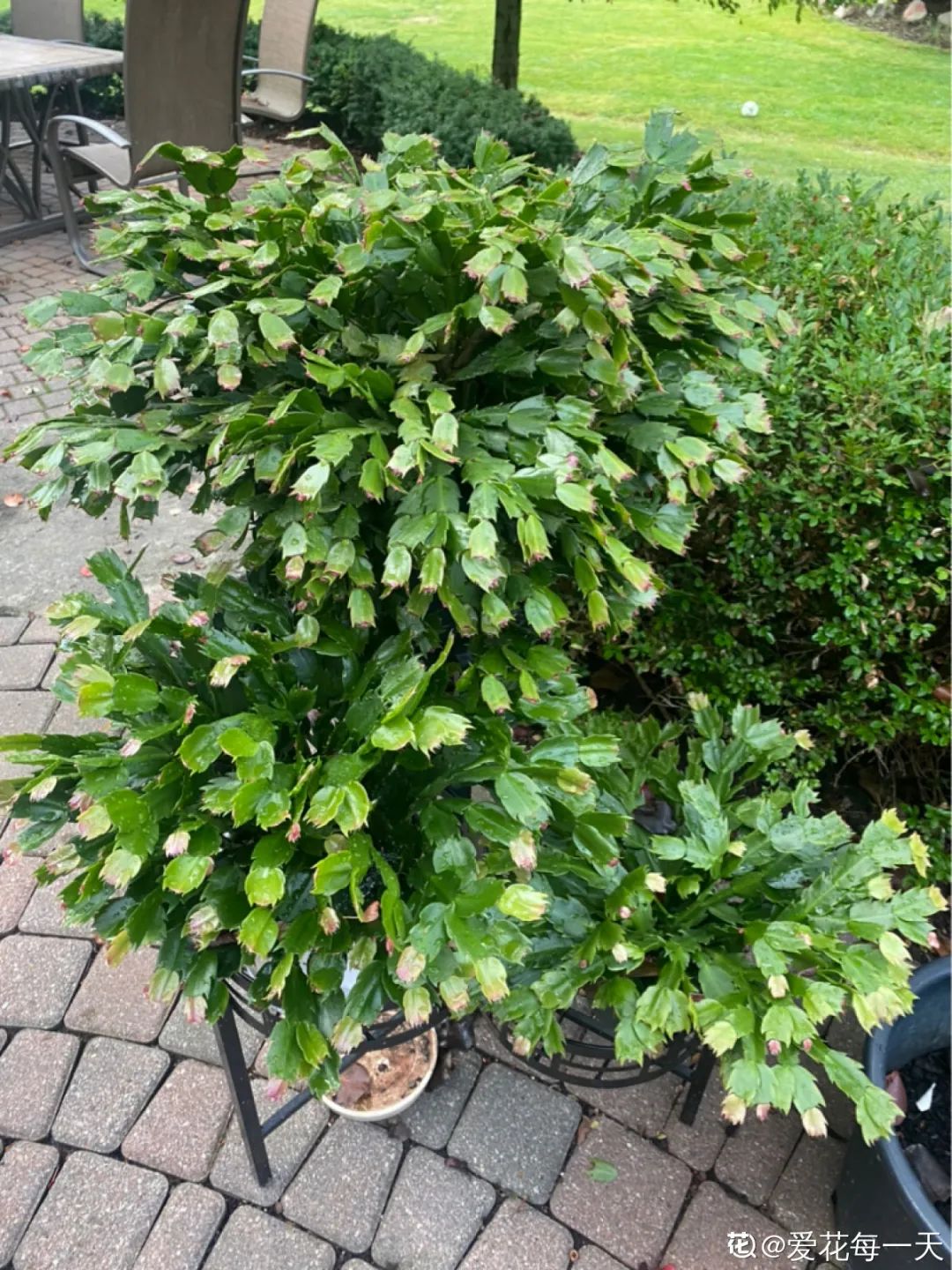 微信图片_20220420101148.jpg 微信图片_20220420101148.jpg