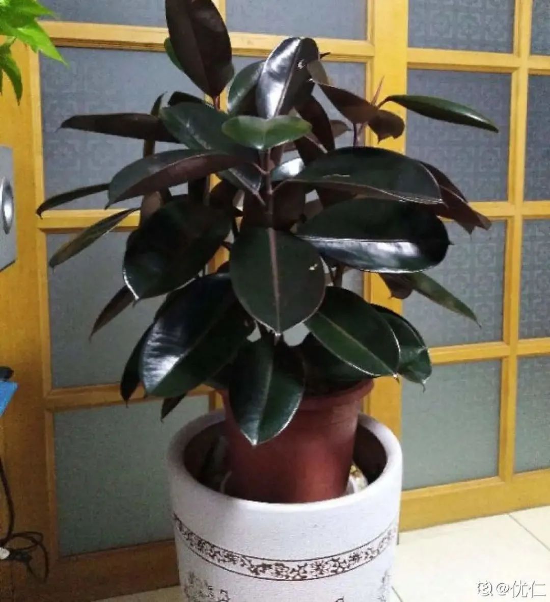 微信图片_20220420101208.jpg 微信图片_20220420101208.jpg