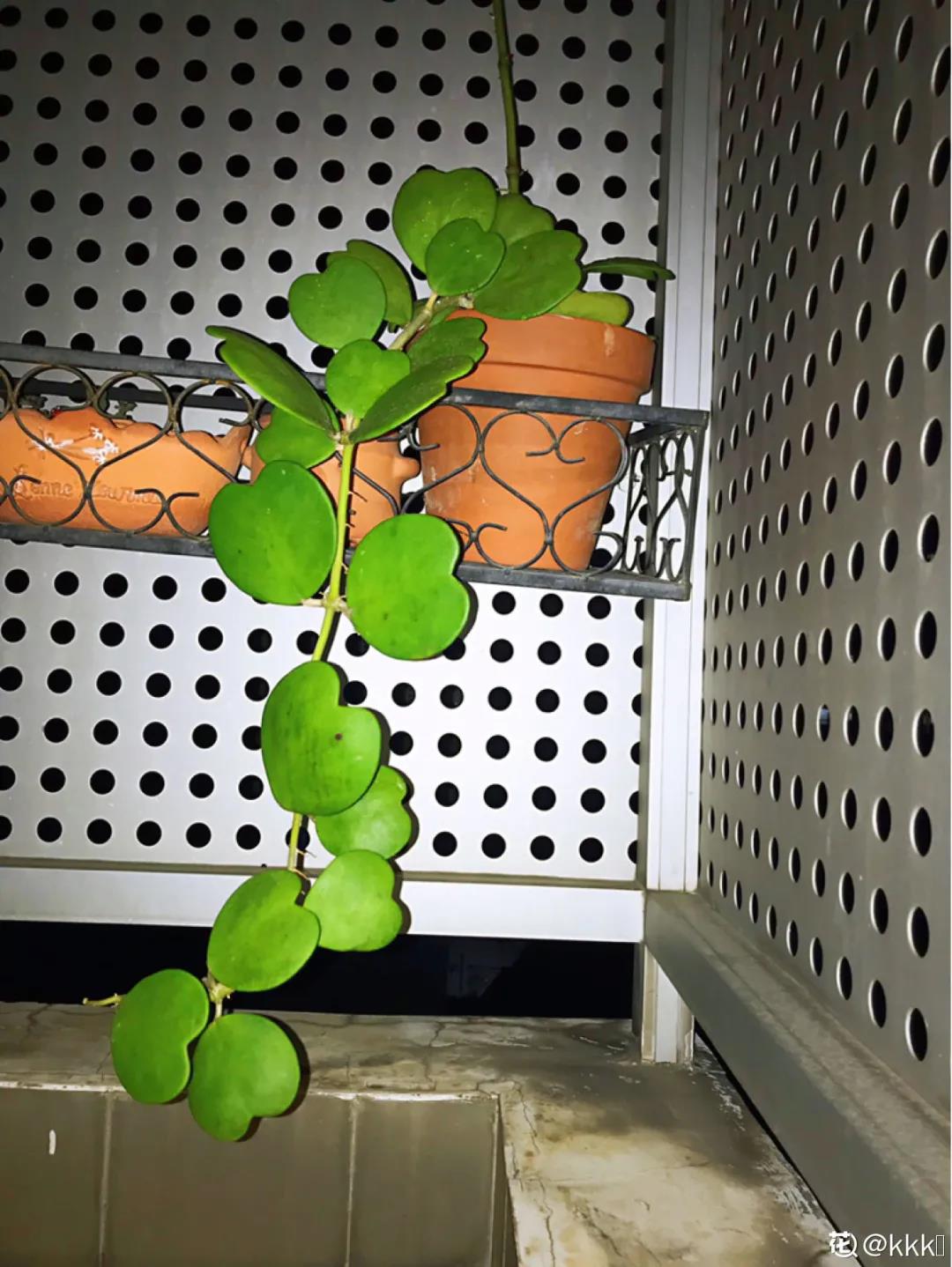 微信图片_20211123154910.jpg 微信图片_20211123154910.jpg