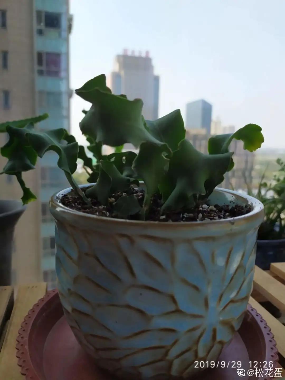 微信图片_20211123155001.jpg 微信图片_20211123155001.jpg