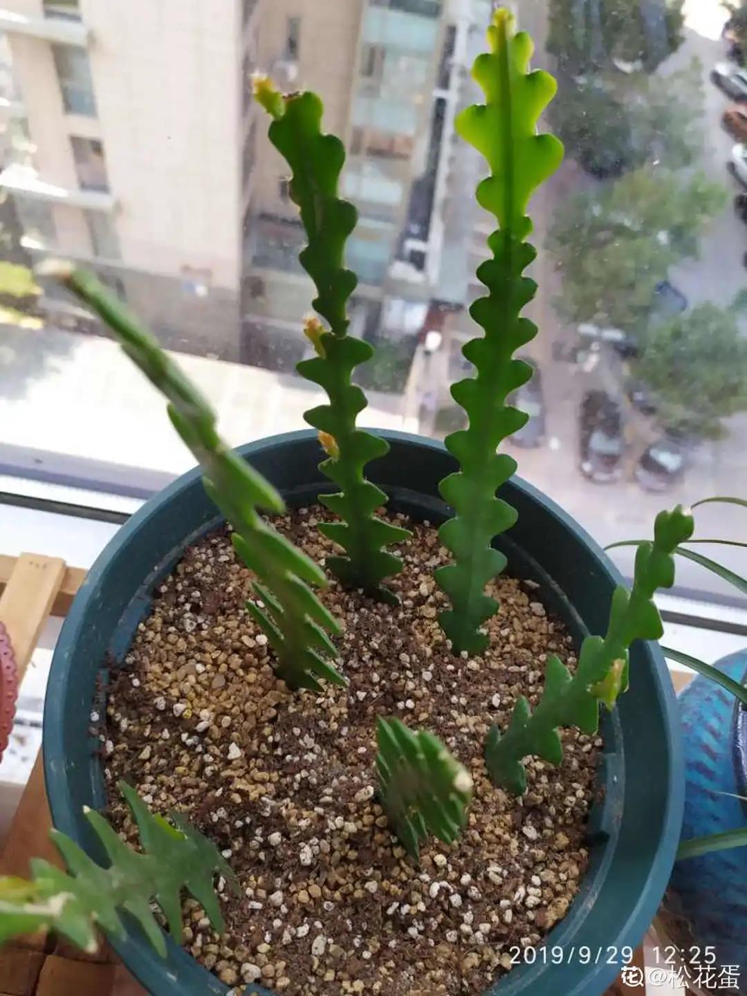 微信图片_20211123155015.jpg 微信图片_20211123155015.jpg