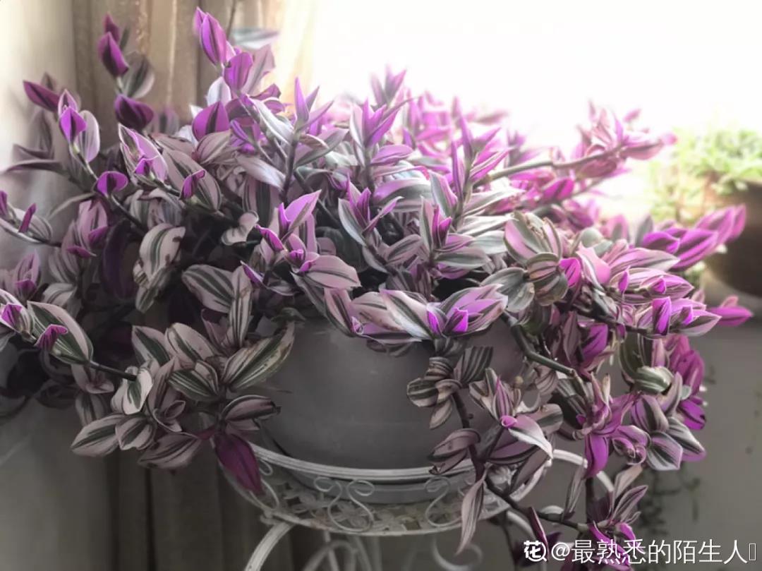 微信图片_20211123155042.jpg 微信图片_20211123155042.jpg