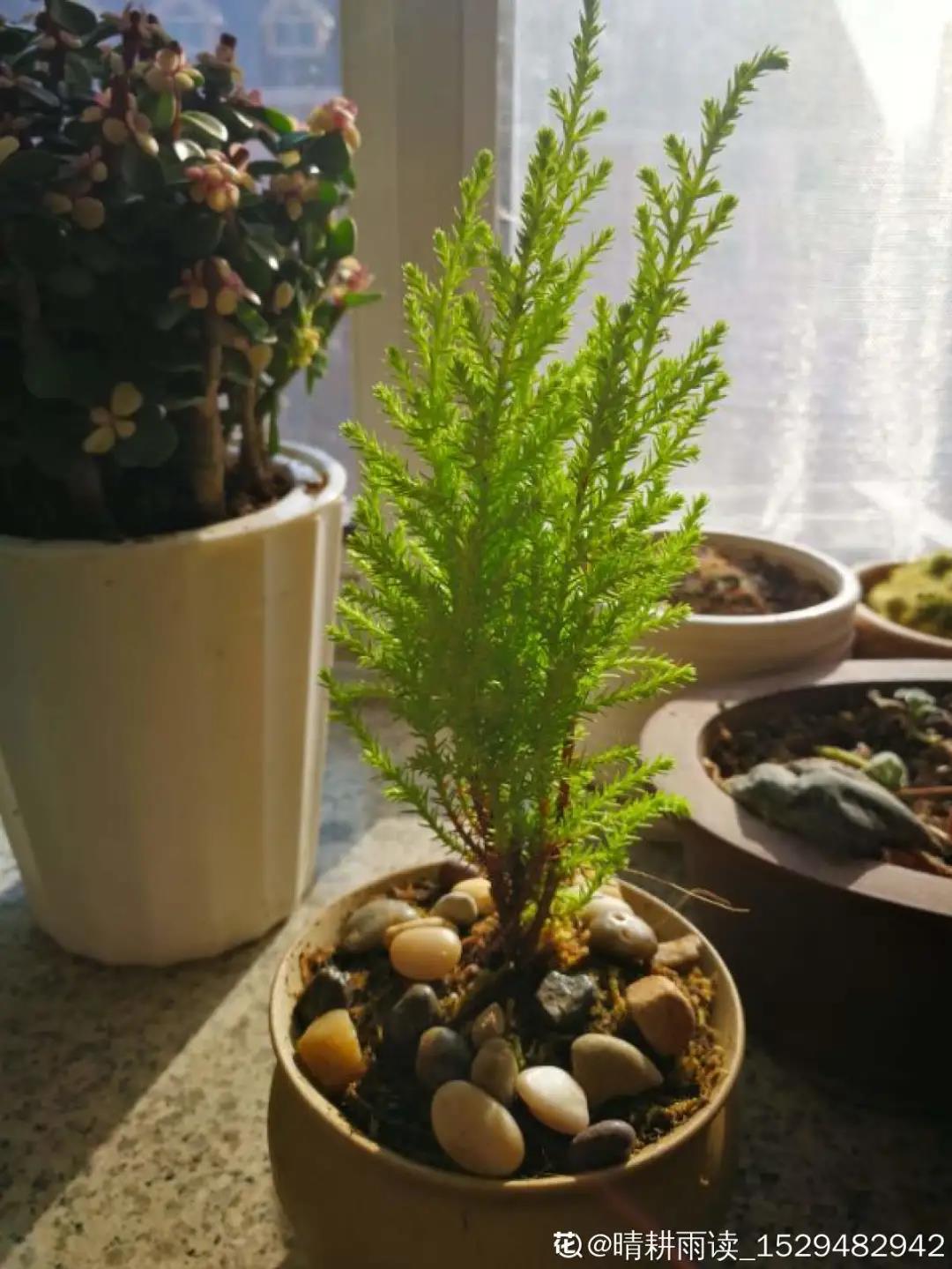 微信图片_20211123155104.jpg 微信图片_20211123155104.jpg