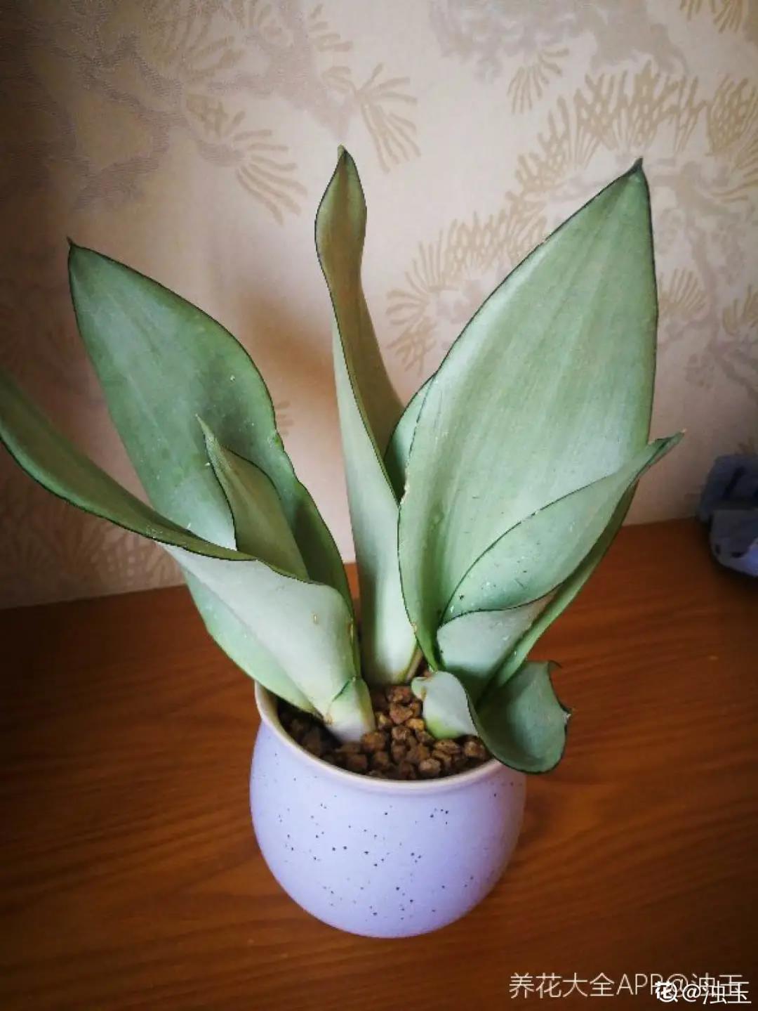 微信图片_20211123155117.jpg 微信图片_20211123155117.jpg