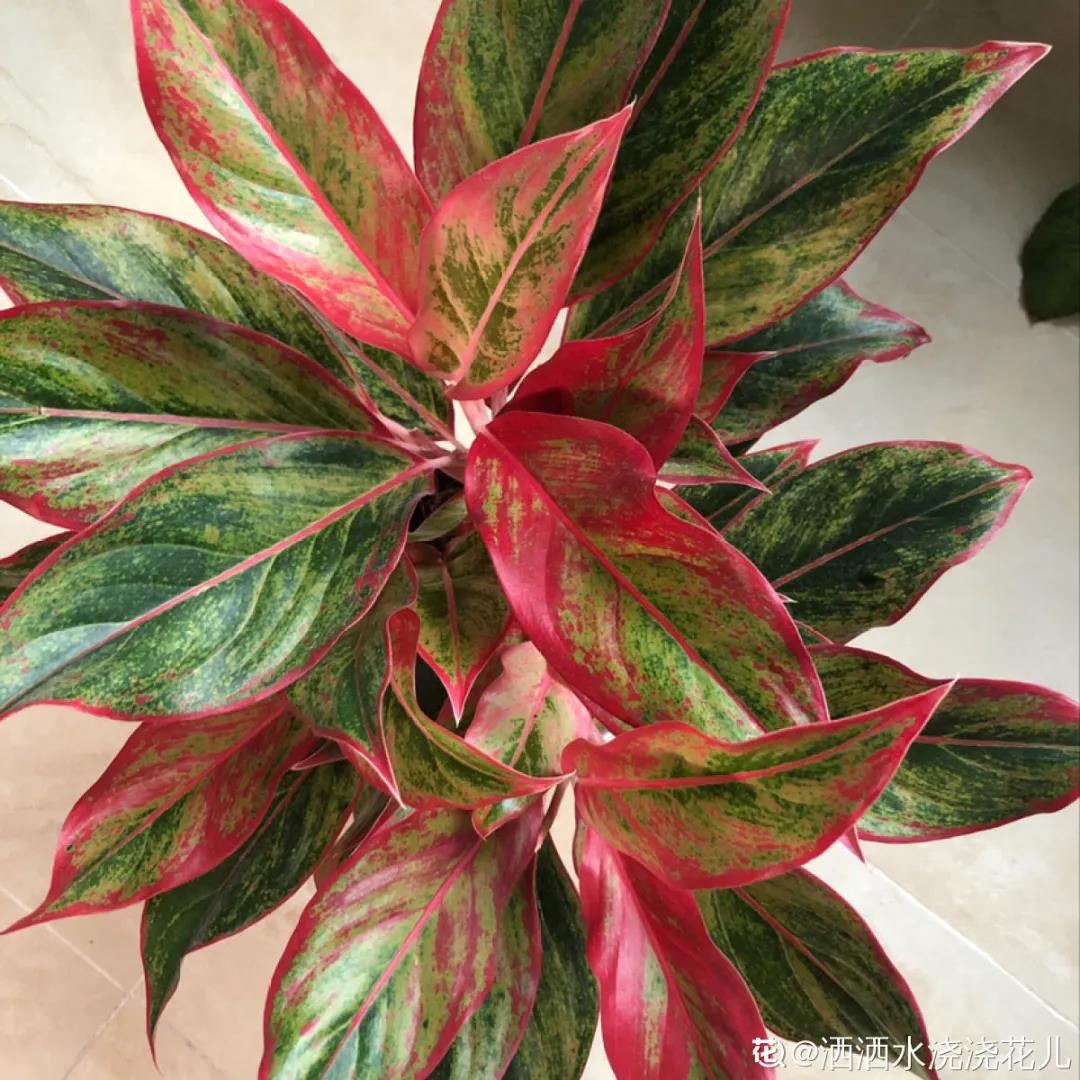 微信图片_20211123155146.jpg 微信图片_20211123155146.jpg