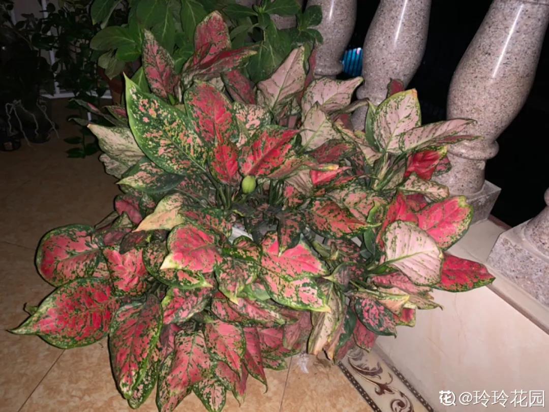 微信图片_20211123155137.jpg 微信图片_20211123155137.jpg