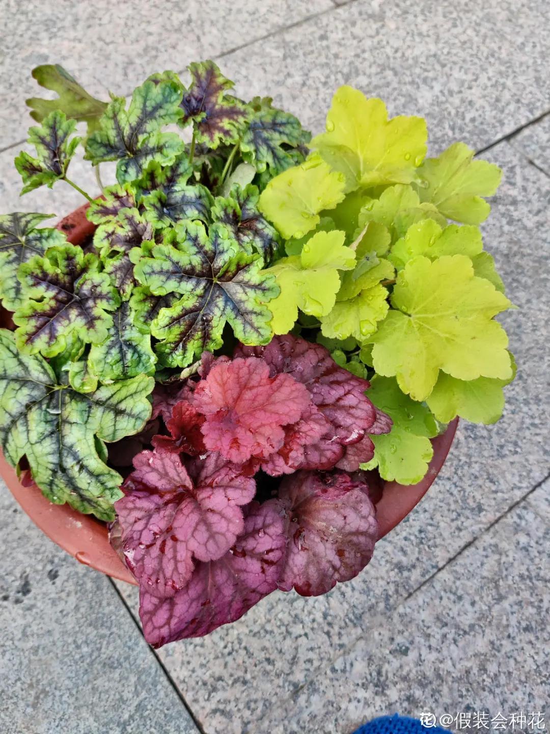 微信图片_20211123155218.jpg 微信图片_20211123155218.jpg