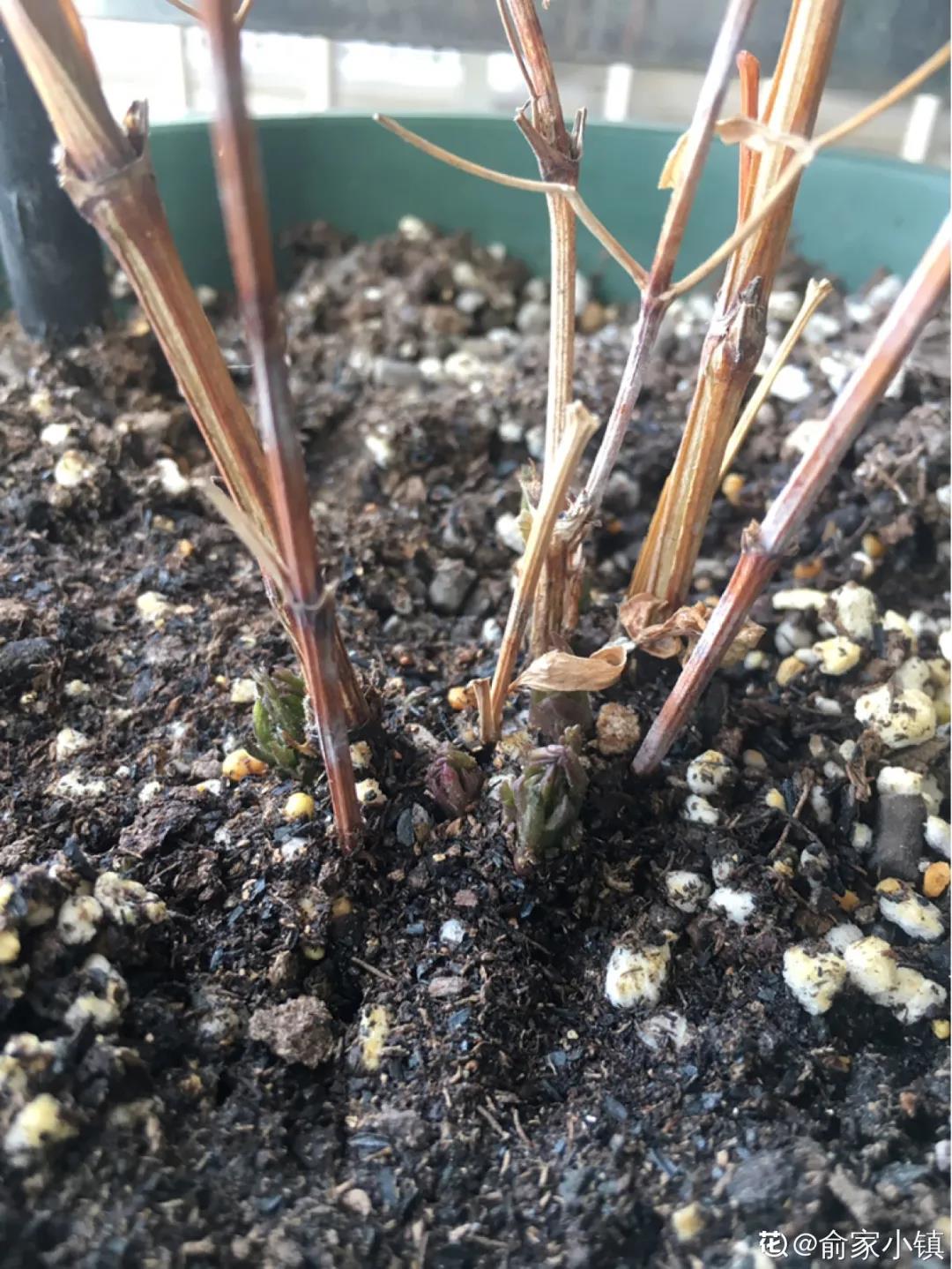 微信图片_20210721164055.jpg 微信图片_20210721164055.jpg