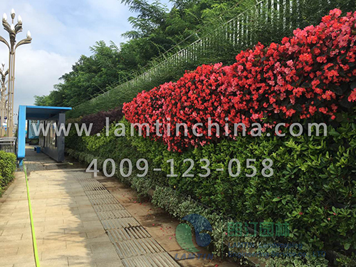 1597889593738849.png 1597889593738849.png